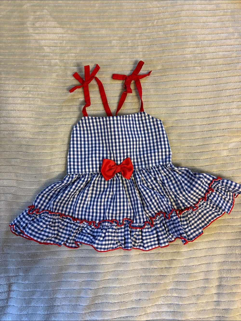 Blue Gingham Dog Dress with Red Trim and Bow